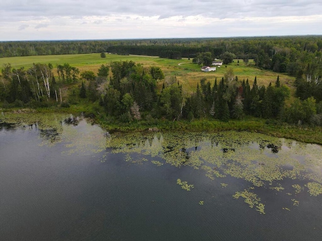 27602 County Road 51, Bovey, MN 55709 - birds eye view of property featuring a wooded view and a water view