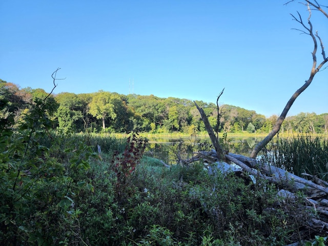 view of local wilderness featuring a water view