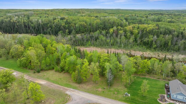 8763 Kabekona Ridge Dr NW, Walker, MN 56484 - photo 1