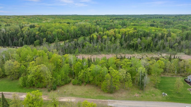 8763 Kabekona Ridge Dr NW, Walker, MN 56484 - photo 3