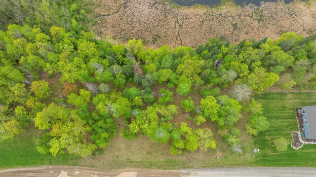 8763 Kabekona Ridge Dr NW, Walker, MN 56484 - photo 4