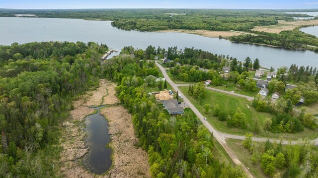 8763 Kabekona Ridge Dr NW, Walker, MN 56484 - photo 5