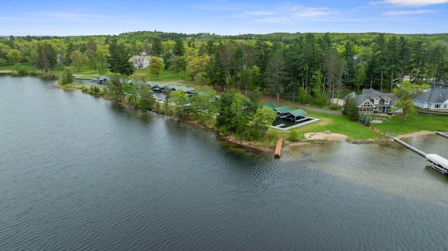 8763 Kabekona Ridge Dr NW, Walker, MN 56484 - photo 8
