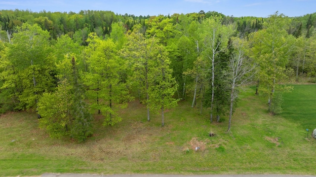 8763 Kabekona Ridge Dr NW, Walker, MN 56484 - photo 10