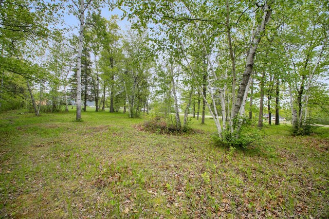 8763 Kabekona Ridge Dr NW, Walker, MN 56484 - photo 12