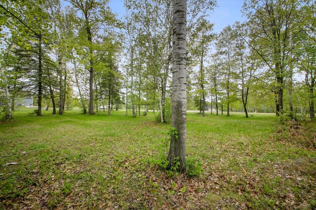 8763 Kabekona Ridge Dr NW, Walker, MN 56484 - photo 13