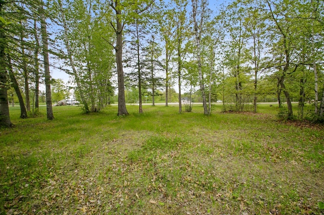 8763 Kabekona Ridge Dr NW, Walker, MN 56484 - photo 14