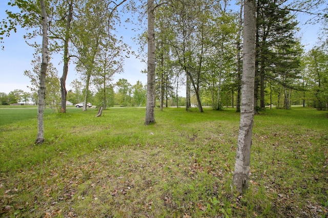 8763 Kabekona Ridge Dr NW, Walker, MN 56484 - photo 15