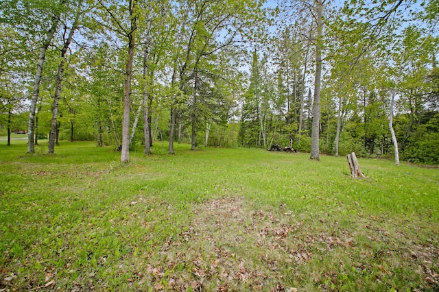 8763 Kabekona Ridge Dr NW, Walker, MN 56484 - photo 16