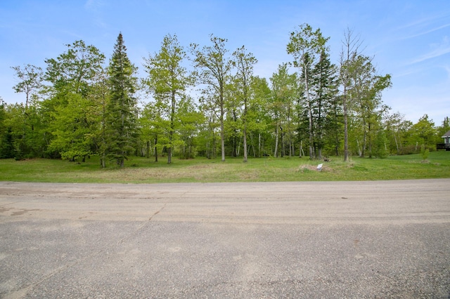 8763 Kabekona Ridge Dr NW, Walker, MN 56484 - photo 26