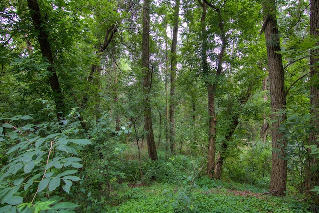 view of landscape