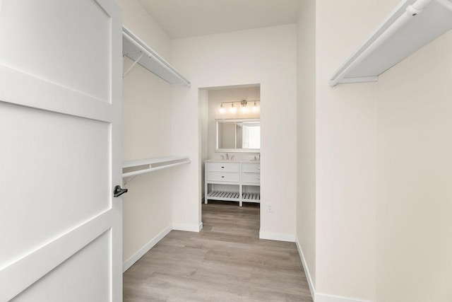 spacious closet featuring light hardwood / wood-style flooring