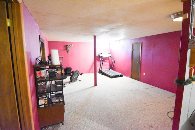 102 6th St SW, Red Lake Falls, MN 56750 - workout room featuring carpet flooring