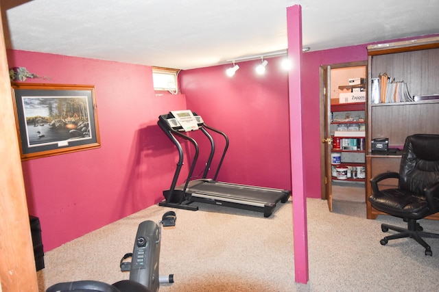 102 6th St SW, Red Lake Falls, MN 56750 - workout area featuring carpet and rail lighting