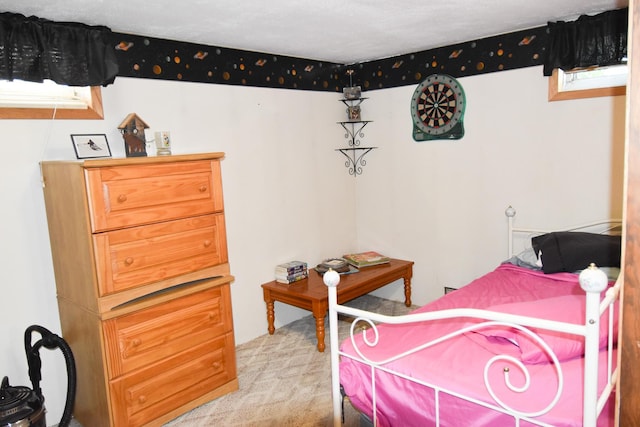 102 6th St SW, Red Lake Falls, MN 56750 - bedroom featuring light colored carpet