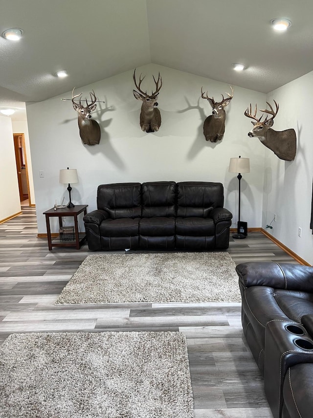 living area featuring vaulted ceiling, wood finished floors, and baseboards