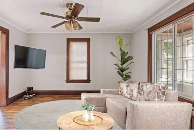 living room with crown molding, light hardwood / wood-style flooring, and ceiling fan