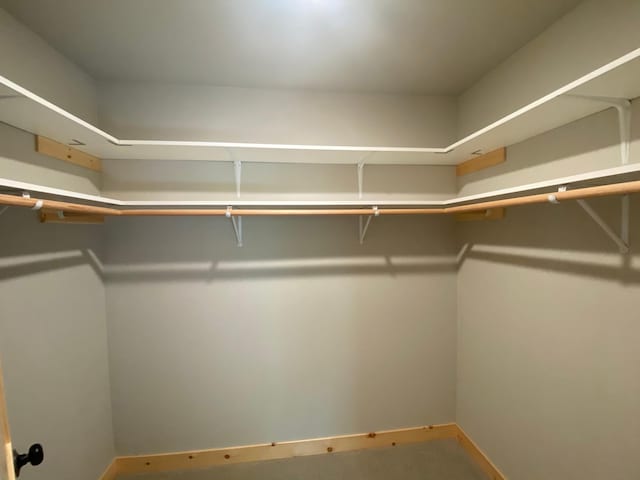 3450 23rd Ave NW, Hackensack, MN 56452 - view of spacious closet