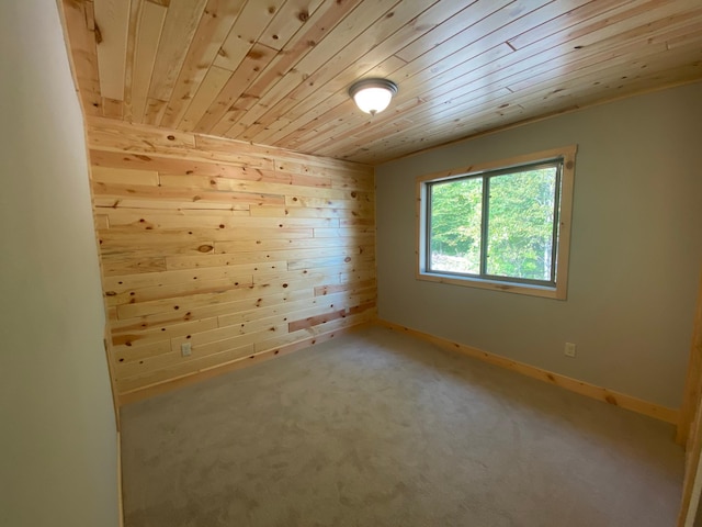 3450 23rd Ave NW, Hackensack, MN 56452 - unfurnished room featuring wood ceiling, wood walls, and light colored carpet