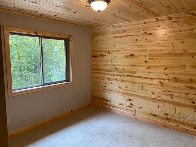 3450 23rd Ave NW, Hackensack, MN 56452 - spare room with wooden ceiling, plenty of natural light, carpet floors, and wooden walls