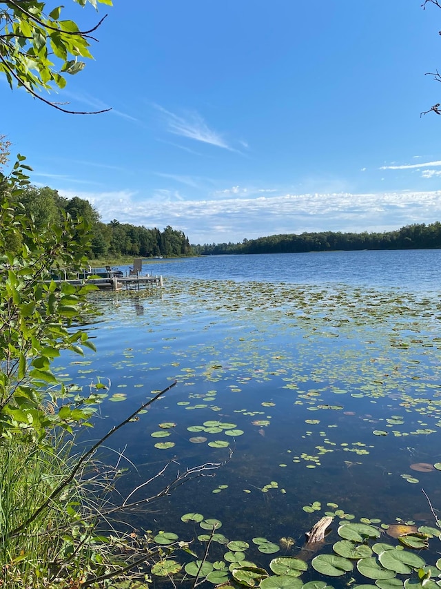 3450 23rd Ave NW, Hackensack, MN 56452 - water view