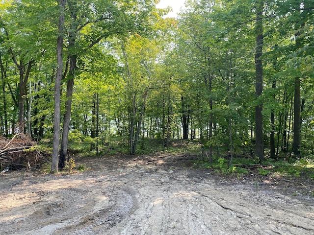 3450 23rd Ave NW, Hackensack, MN 56452 - view of tree filled area