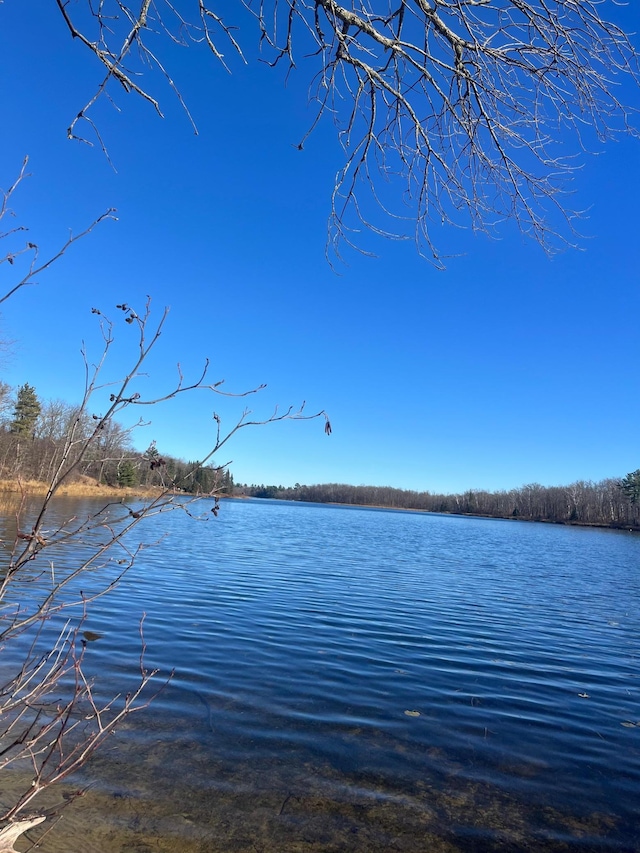 3450 23rd Ave NW, Hackensack, MN 56452 - water view