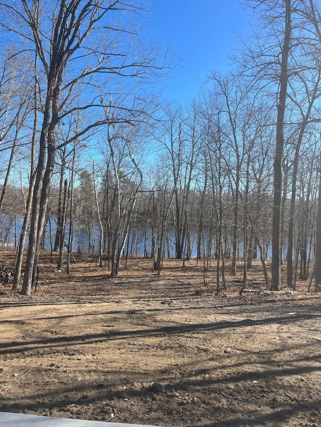 3450 23rd Ave NW, Hackensack, MN 56452 - water view