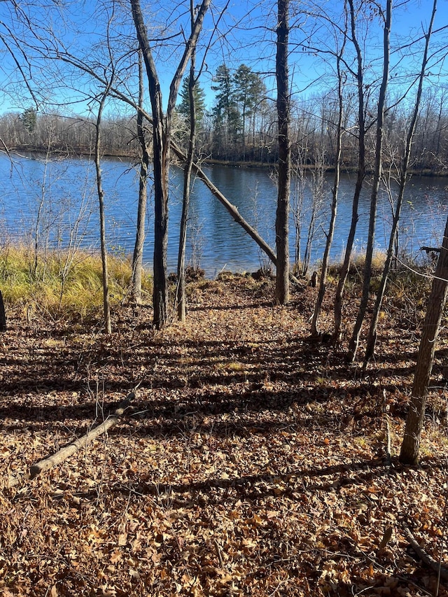 3450 23rd Ave NW, Hackensack, MN 56452 - water view