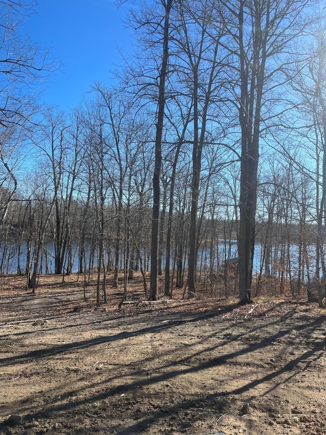 3450 23rd Ave NW, Hackensack, MN 56452 - water view