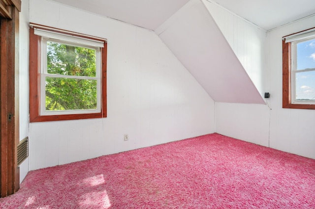 additional living space with carpet and lofted ceiling