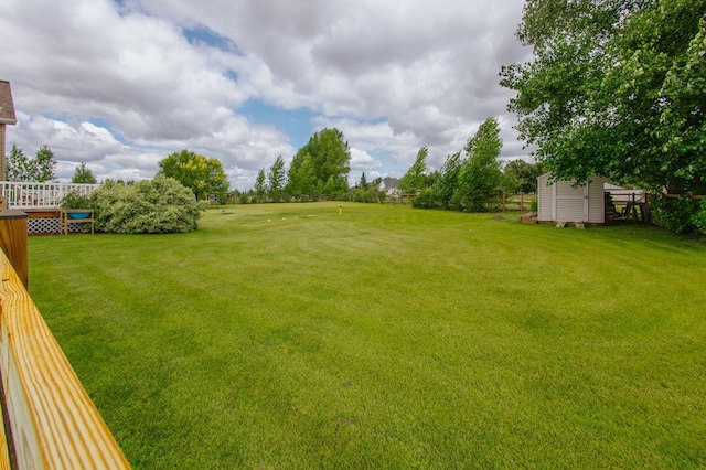 view of yard featuring a shed