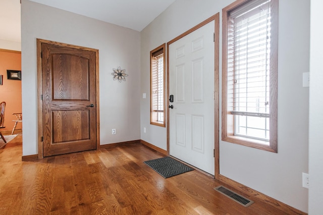 foyer entrance featuring wood-type flooring