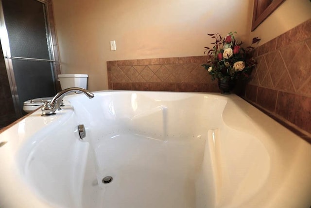 interior details with toilet and a washtub