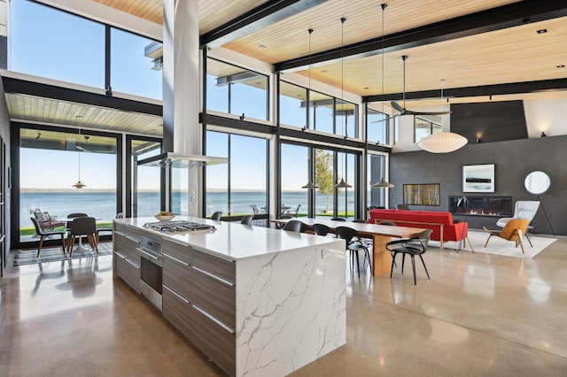 interior space featuring a water view, a wealth of natural light, and stainless steel appliances