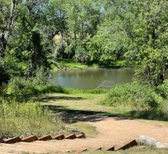 property view of water with a forest view