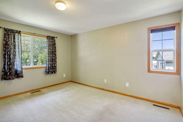 spare room featuring a textured ceiling, a healthy amount of sunlight, and light colored carpet