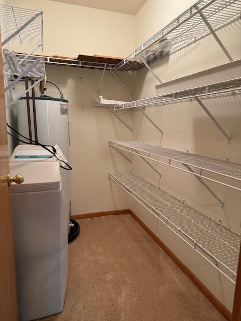 walk in closet with carpet