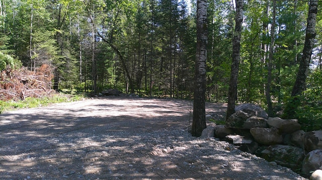 Listing photo 2 for PARCEL2TBD Raps Rd, Beatty Twp MN 55723