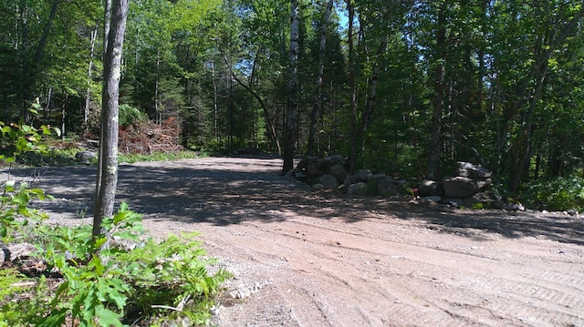 Listing photo 3 for PARCEL2TBD Raps Rd, Beatty Twp MN 55723