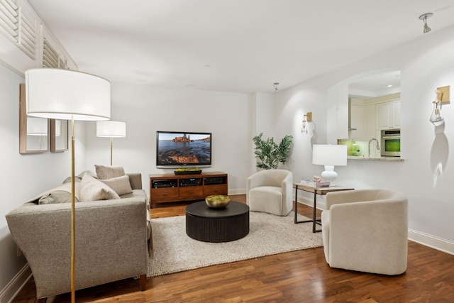 living room featuring sink and wood-type flooring