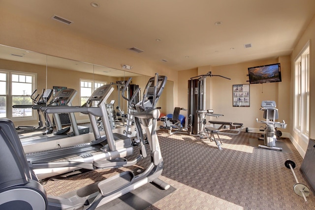 exercise room featuring carpet floors