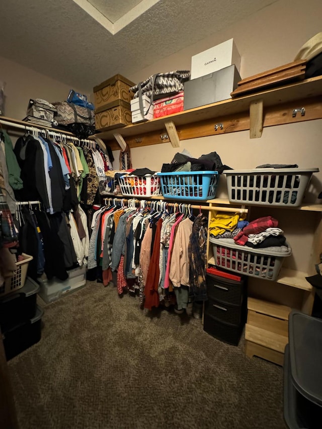 walk in closet featuring carpet