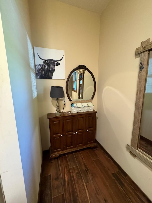 bathroom featuring vanity, baseboards, and wood finish floors