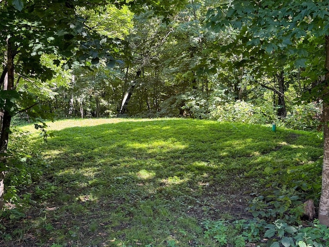 view of yard featuring a wooded view