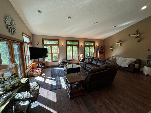 living area with vaulted ceiling, wood finished floors, a wealth of natural light, and a textured ceiling