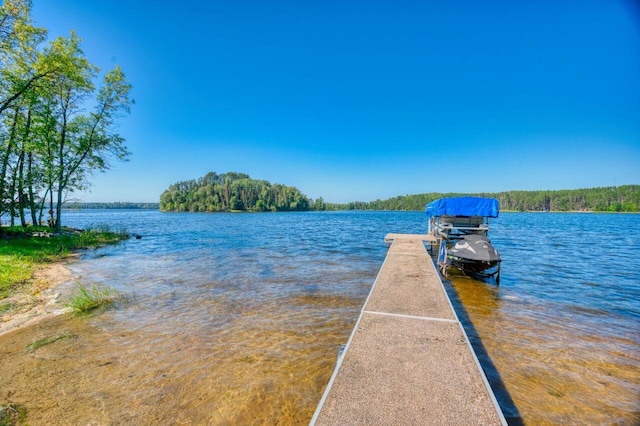 dock area with a water view