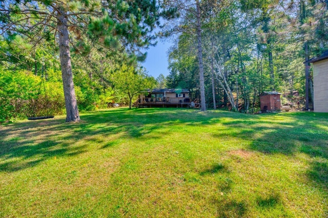 view of yard featuring a wooden deck, a storage shed, and an outdoor structure