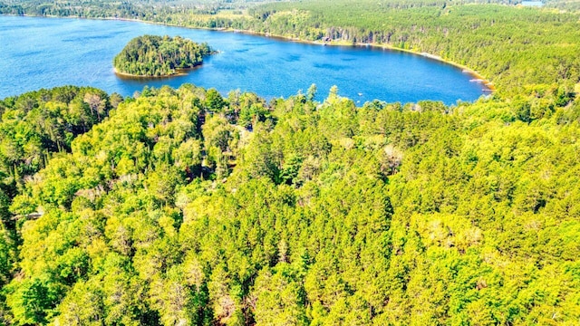 birds eye view of property featuring a forest view and a water view