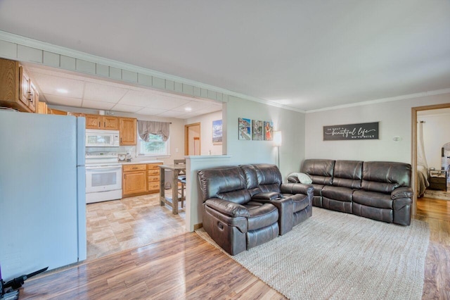 living room with crown molding and light wood finished floors